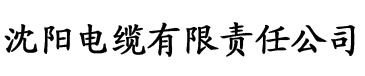 驰策影视官网首页电缆厂logo